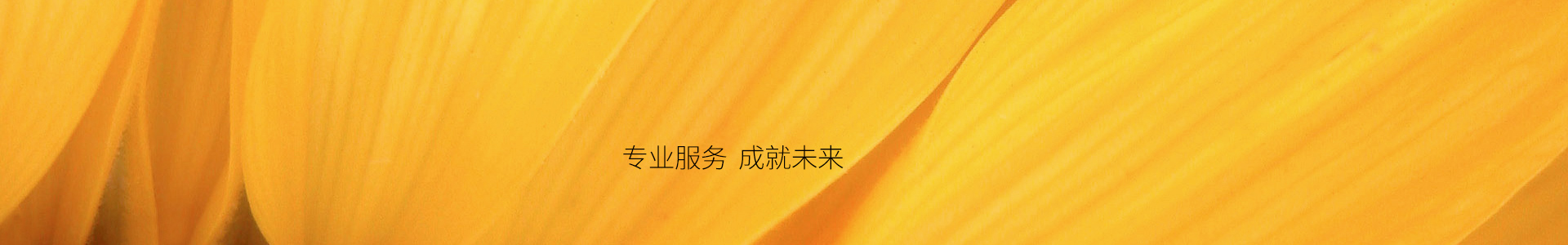 imtoken钱包下载